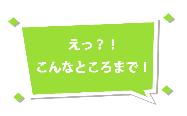 えっつ？こんなところまで？！