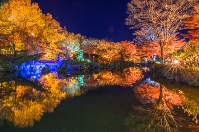 藤岡市の観光名所『桜山公園』にて夜のライトアップされた木々の写真