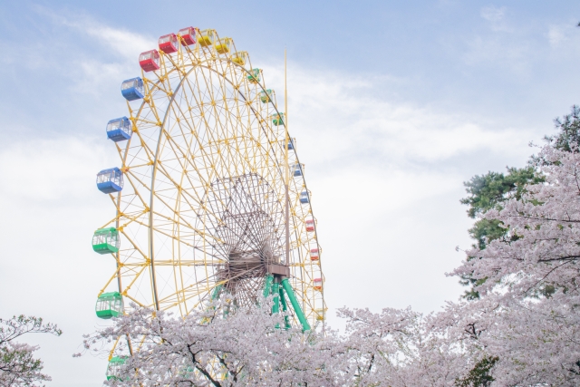 華蔵寺公園遊園地の観覧車、ひまわりの写真