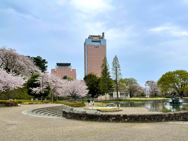 前橋公園の写真