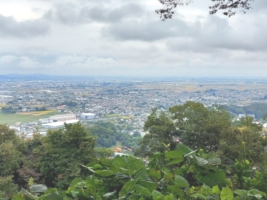 新田城から見た太田市内の写真