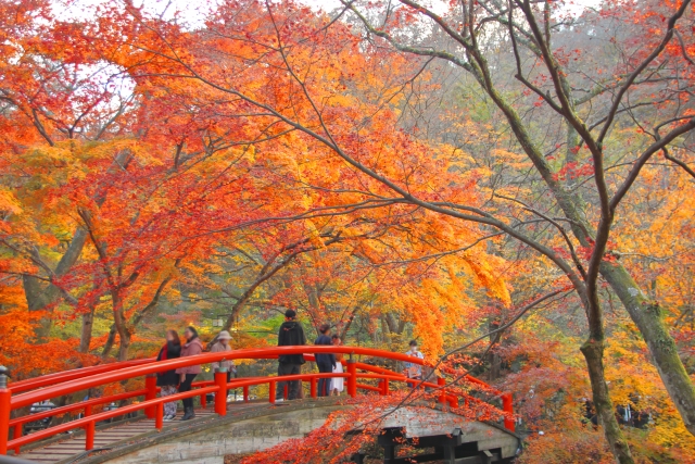 紅葉がきれいな伊香保温泉にあるかっぱ橋の写真