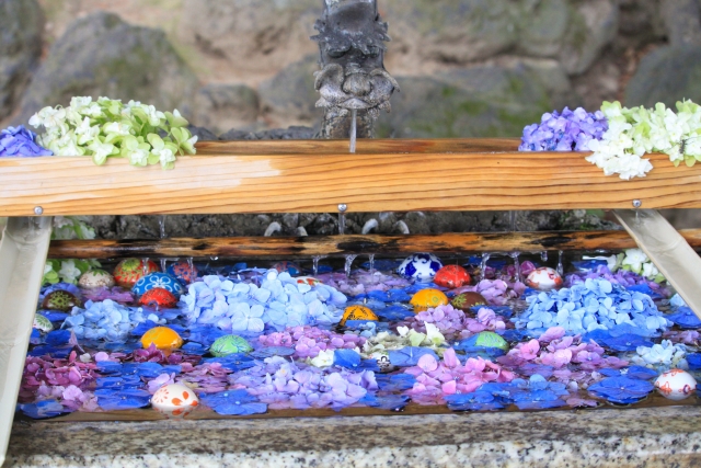 色とりどりの綺麗な花が浮かぶ神社の手水