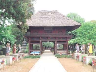 上毛かるたに出てくるぶんぶく茶釜の茂林寺