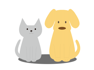 犬と猫